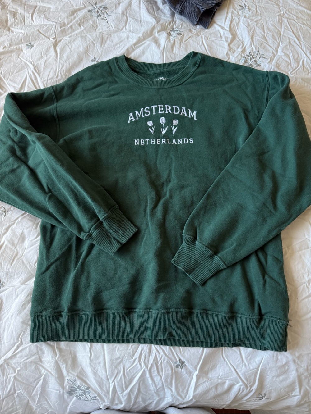 Hollister Dark Green Amsterdam Netherlands Crewneck Sweatshirt